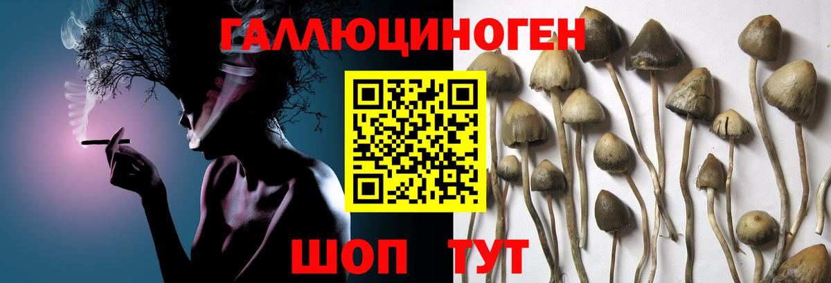 Галлюциногенные грибы Cubensis Домодедово