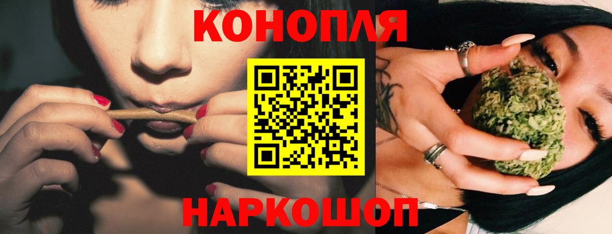 Канабис сатива Домодедово